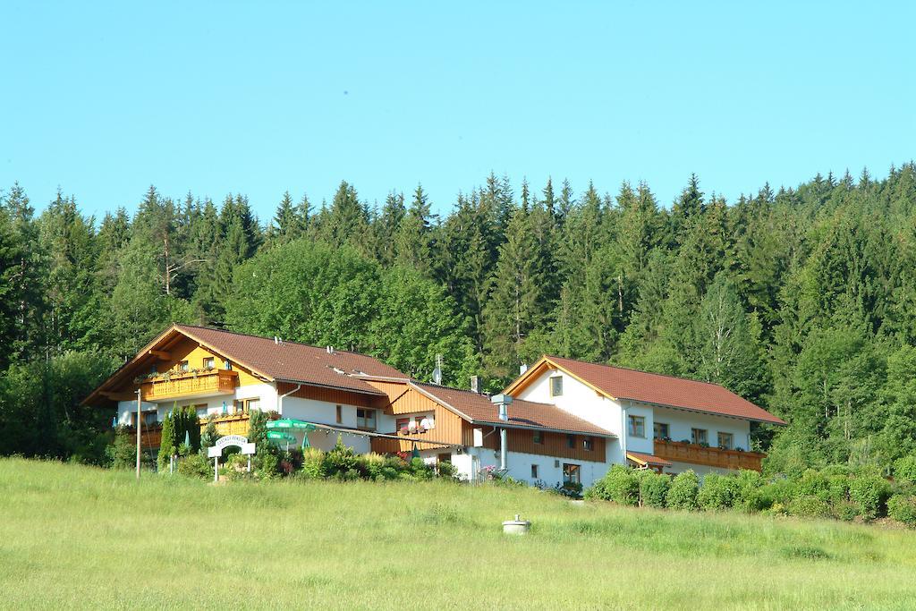 Gasthaus Pension Sternknockel 보덴마이스 외부 사진
